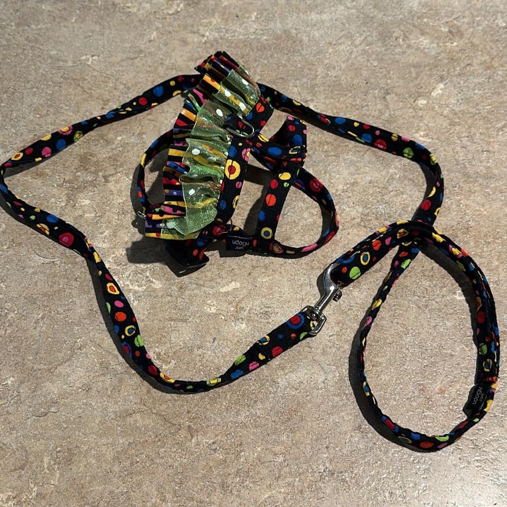 Black Dot Multicolor Dog Harness and Leash